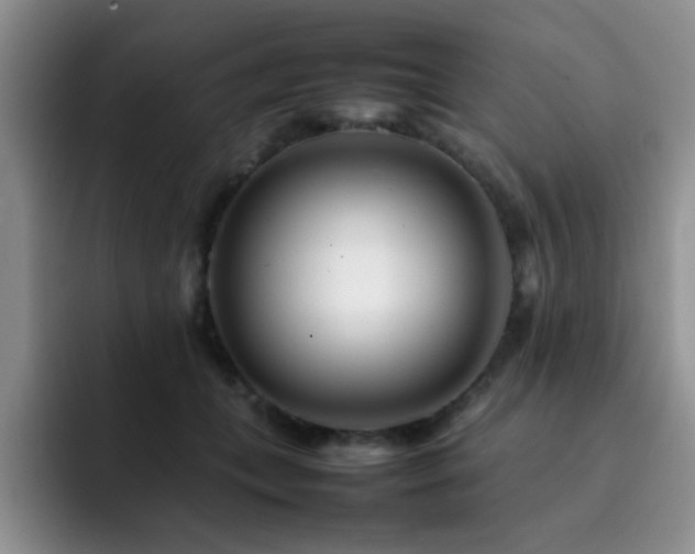 X0000092230559200709141108