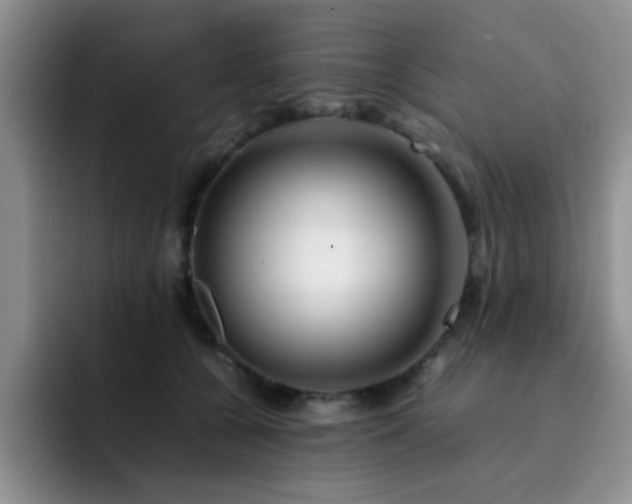 X0000092230560200709141108