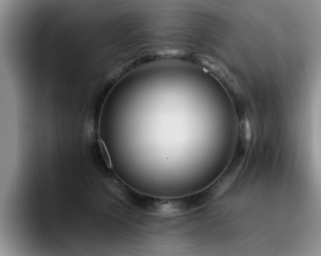 X0000092230564200709141108