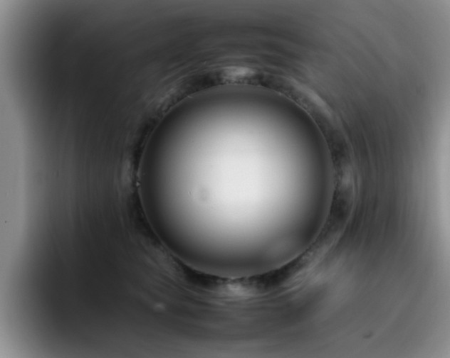 X0000092230565200709141108