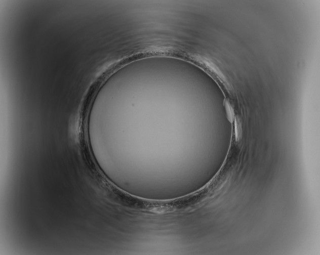 X0000092230579200709141107