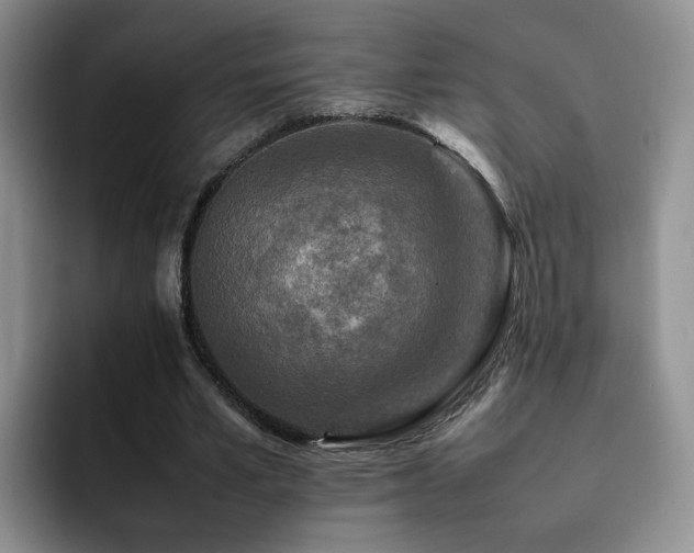 X0000092230581200709141107