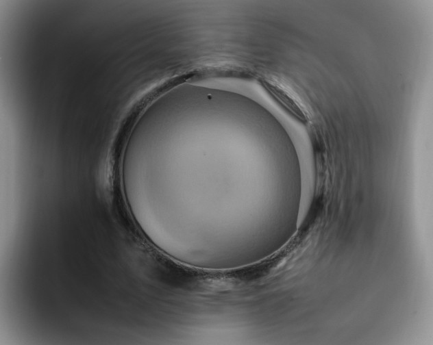 X0000092230583200709141107