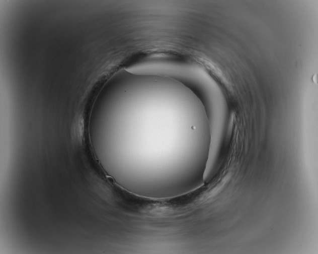 X0000092230589200709141107