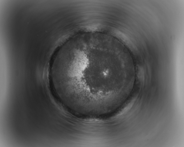 X0000092230590200709141107