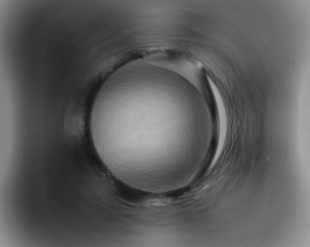 X0000092230595200709141107