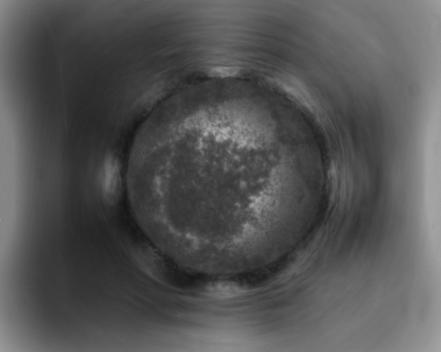 X0000092230598200709141107