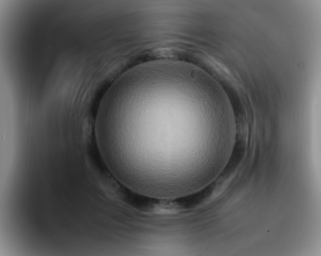 X0000092230603200709141107