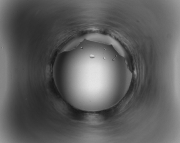 X0000092230605200709141107