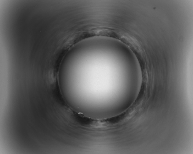 X0000092230607200709141107