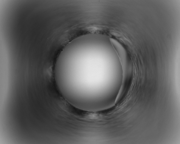 X0000092230611200709141107