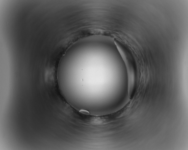 X0000092230616200709141107