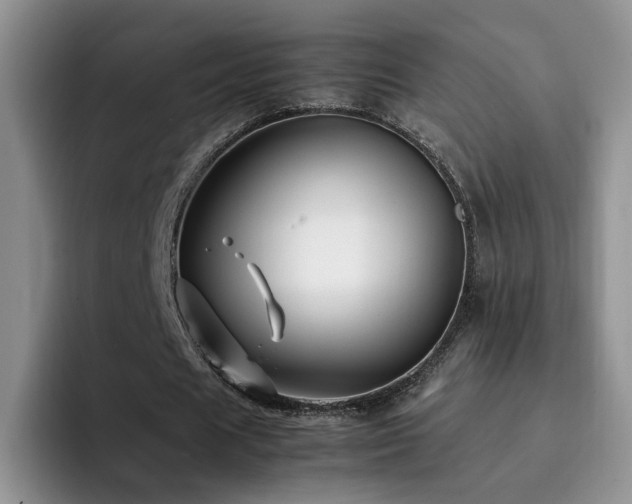 X0000092230625200709141106