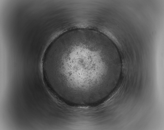 X0000092230626200709141106