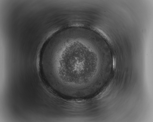X0000092230627200709141106