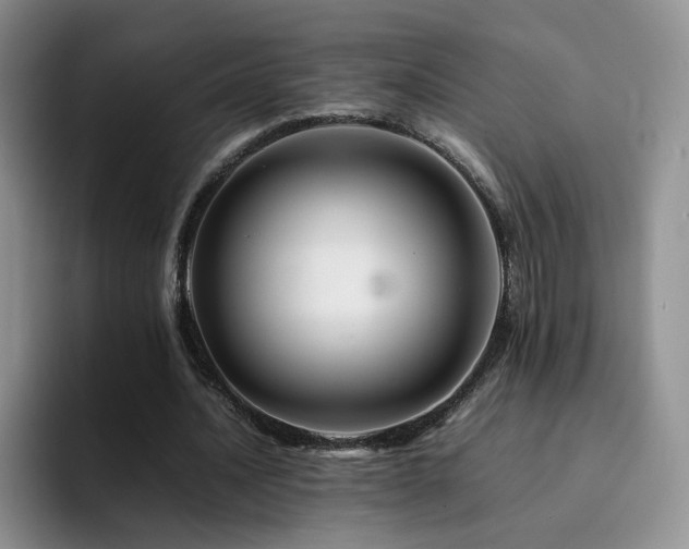 X0000092230628200709141106