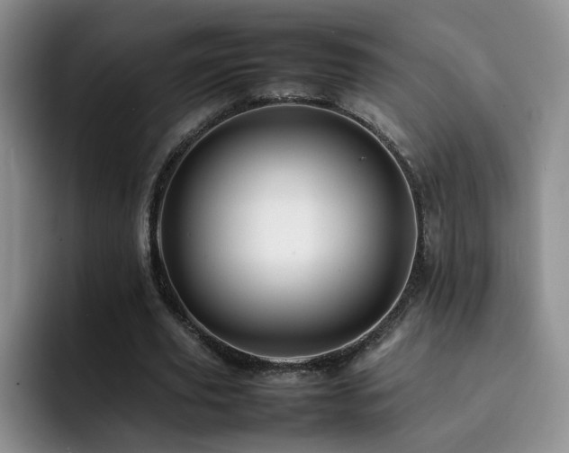 X0000092230629200709141106
