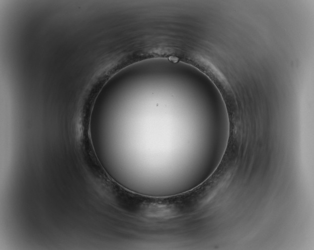 X0000092230635200709141106