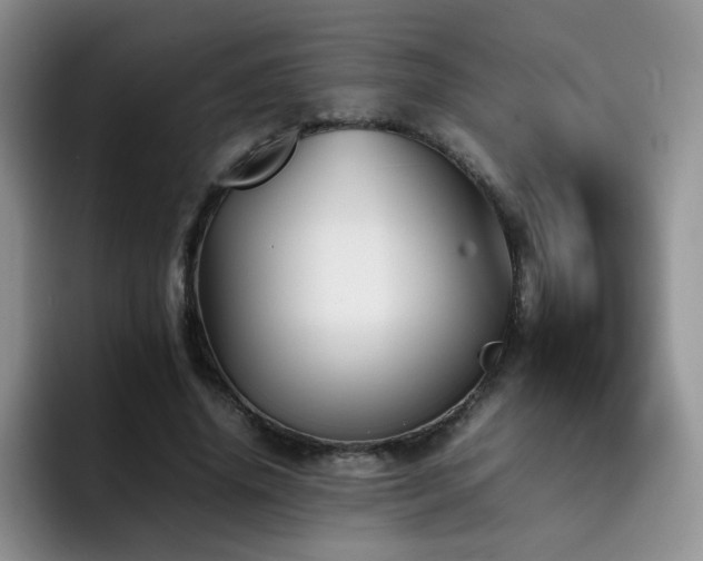 X0000092230636200709141106