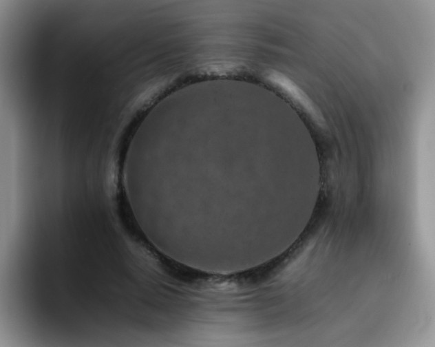 X0000092230640200709141106