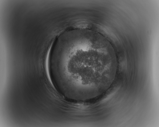 X0000092230641200709141106
