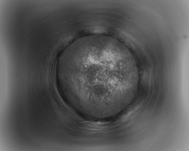 X0000092230643200709141106