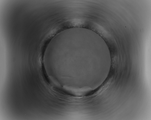 X0000092230644200709141106