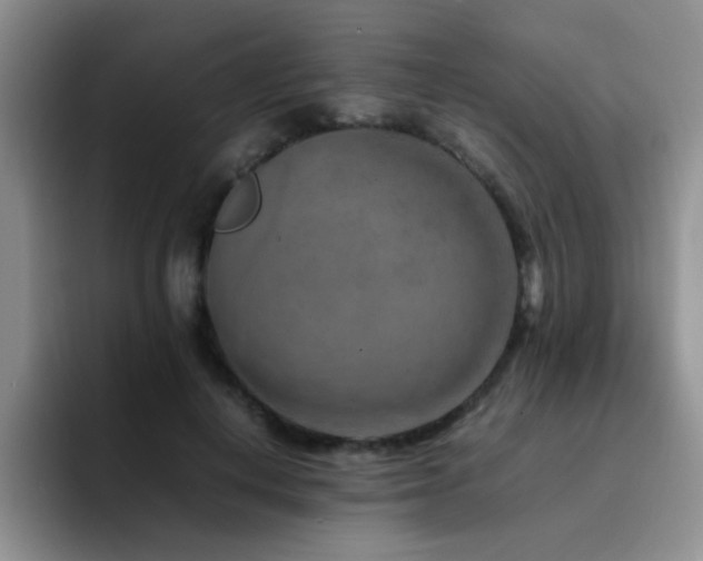 X0000092230648200709141106