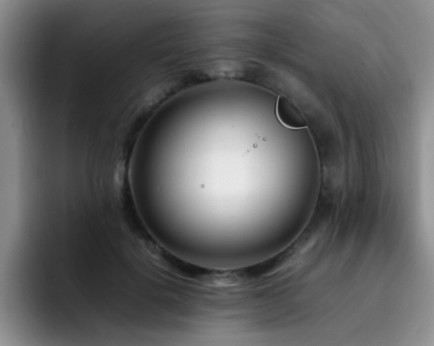 X0000092230652200709141106