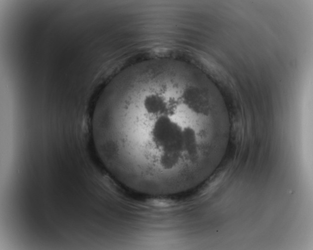 X0000092230654200709141106