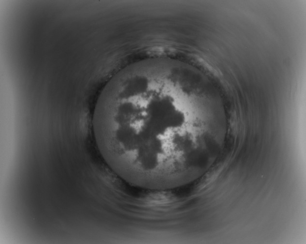 X0000092230659200709141106