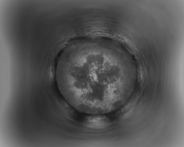 X0000092230661200709141106