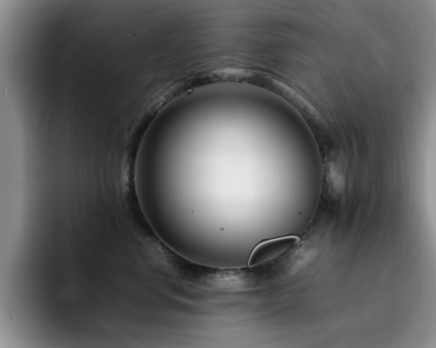 X0000092230668200709141107