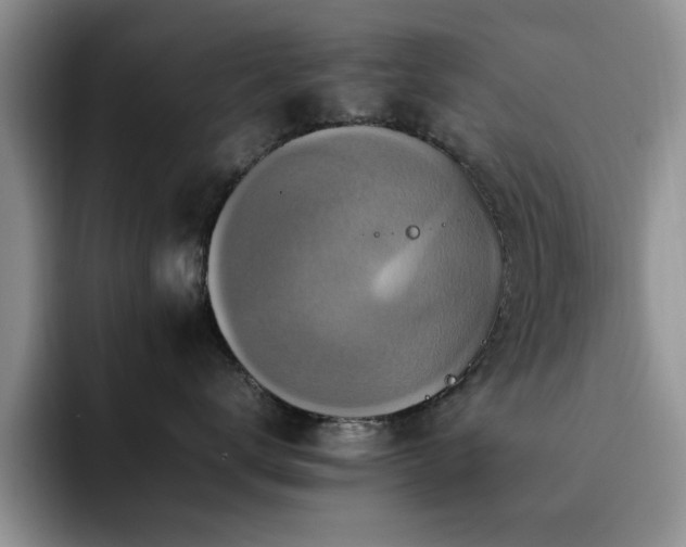 X0000092230672200709141107