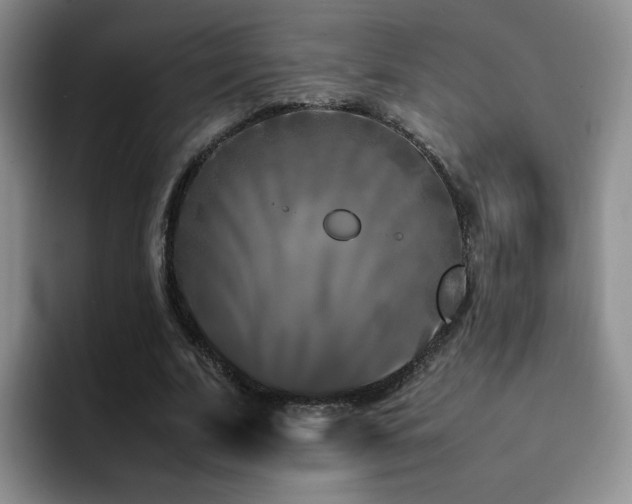 X0000092230679200709141106