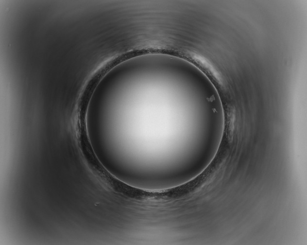 X0000092230680200709141106