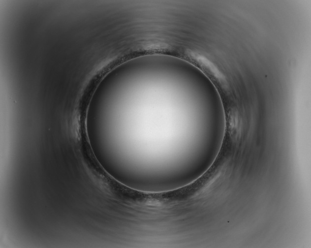 X0000092230684200709141106