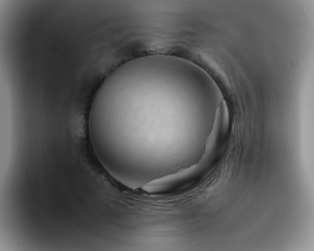 X0000092230689200709141106