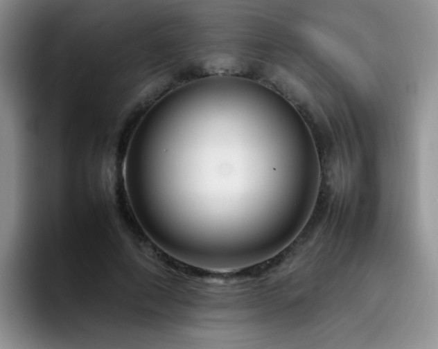 X0000092230690200709141106