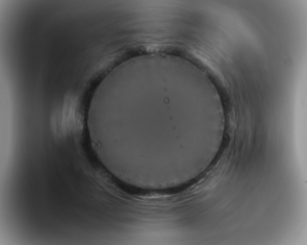 X0000092230691200709141106