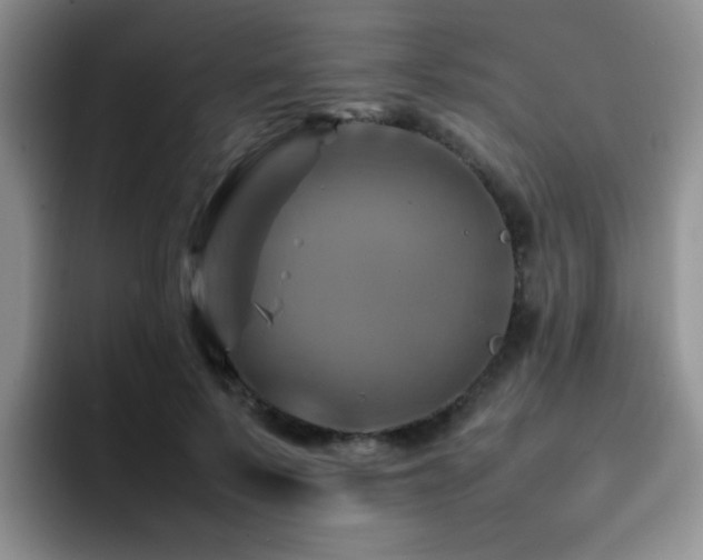 X0000092230695200709141106
