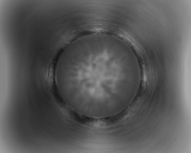 X0000092230696200709141106