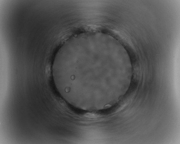 X0000092230699200709141106