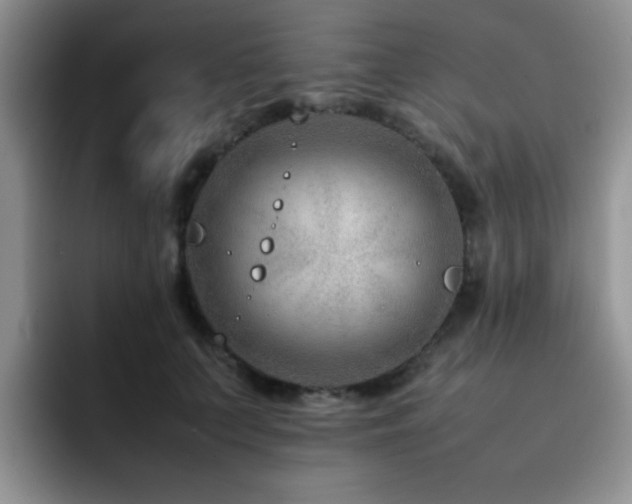 X0000092230703200709141106