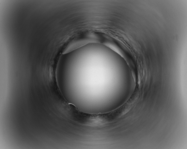 X0000092230704200709141106