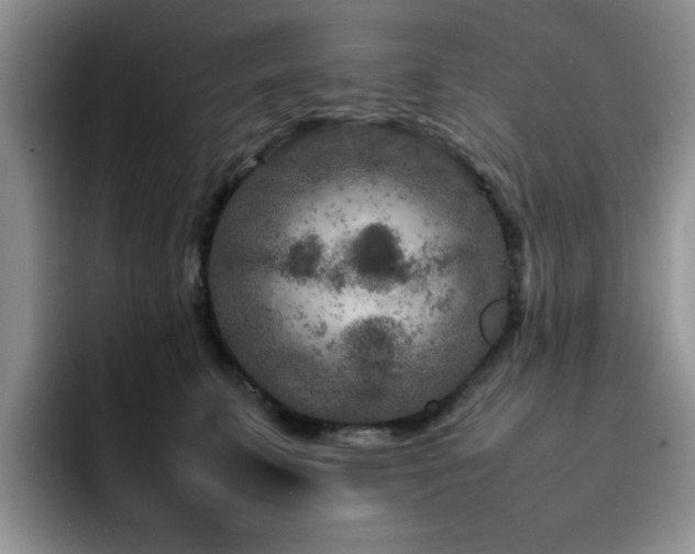 X0000092230711200709141106