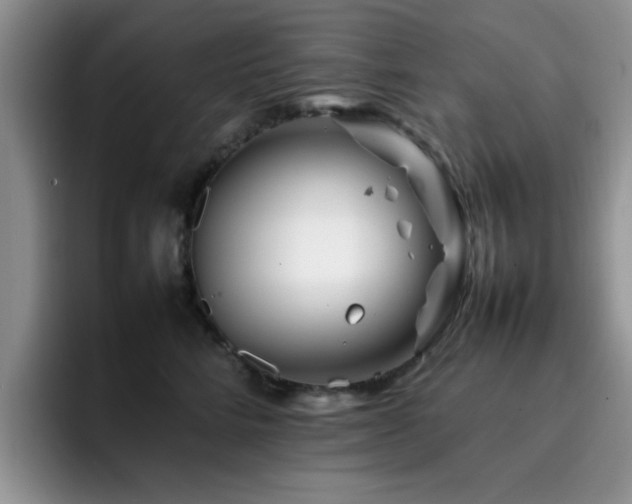 X0000092230712200709141106