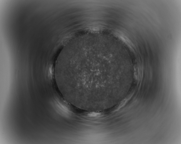 X0000092230718200709141106