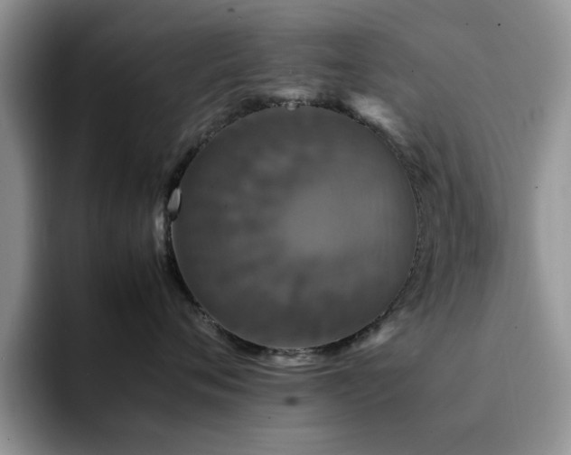X0000092230720200709141105