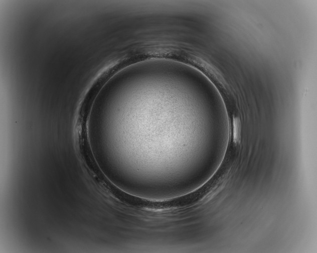 X0000092230723200709141105